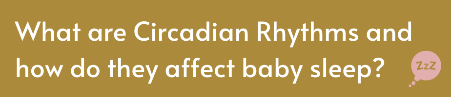 What are Circadian Rhythms and how do they affect baby sleep?